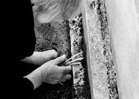 сПомен; Коментари:13