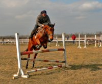 Тодоров ден- Банкя 2007; Коментари:32