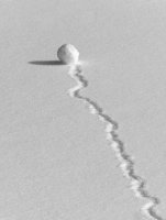 no name ( ID=561076 ); comments:45