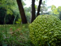 no name ( ID=562405 ); comments:5