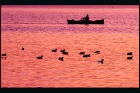 Залез в Казашко; Коментари:8