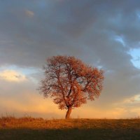 no name ( ID=563449 ); comments:22