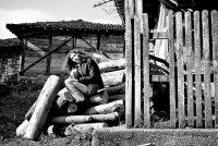 Светла; Коментари:3