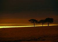 no name ( ID=578788 ); comments:25