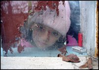 без име ( ID=561203 ); Коментари:15