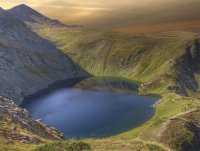 Okoto; Коментари:36