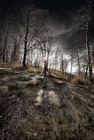 no name ( ID=562697 ); comments:19