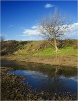 отражение; comments:7