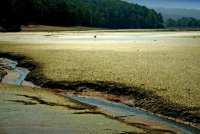 no name ( ID=570854 ); comments:7