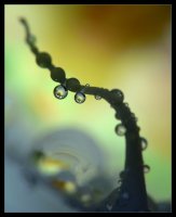 no name ( ID=572802 ); comments:15