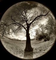 no name ( ID=571332 ); comments:7