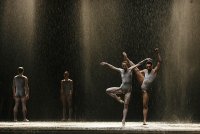 holandski balet; comments:54