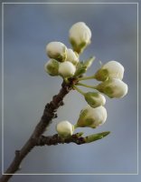 Дали не бързаме?; comments:5