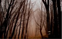 Имало едно време...; comments:6