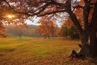 Есенна приказка; comments:56