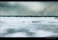 The cold land; comments:15