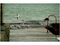 щипка сол; comments:11