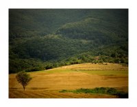 Горда стара планина; comments:11