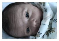 brave new world; Коментари:10