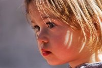 .; Коментари:14