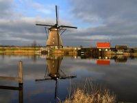 без име ( ID=560442 ); Коментари:44