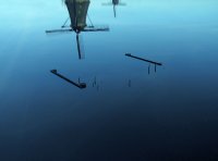 no name ( ID=564442 ); comments:9