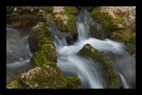 no name ( ID=574975 ); comments:5