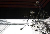 spring in the city; comments:44