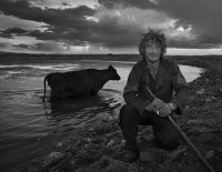 -------; comments:43