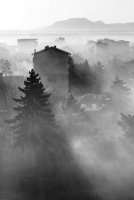 без име ( ID=558624 ); Коментари:18