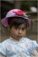 (::); Коментари:4