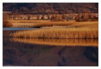 no name ( ID=567098 ); comments:11