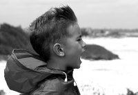 Вятърът и морето; Коментари:9