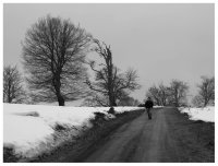 Хора В Гората 3; comments:2