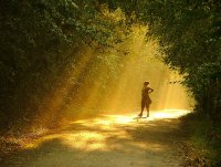 Магията на светлината; comments:43