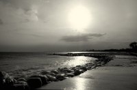 морето в мен; Коментари:81