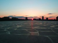 Zalezat nad Harvard University; comments:13