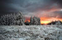 Огън и лед; comments:68