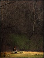 Сама в парка; Коментари:7