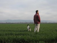 no name ( ID=563029 ); comments:4