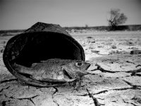 А спомняш ли си добрите стари времена, когато още имаше вода?; comments:24