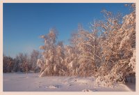 Winter fairy-tale; Коментари:22