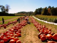 Helloween; comments:38