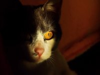 no name ( ID=565329 ); comments:5