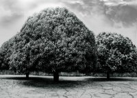 no name ( ID=581868 ); comments:7