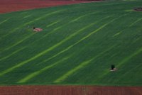 Авеню (в зелено); Коментари:6