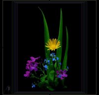 Цветна палитра; comments:22