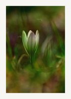 no name ( ID=585982 ); comments:27