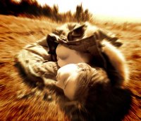 tea live; Коментари:5