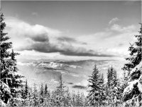 На нивото на облаците; Коментари:14